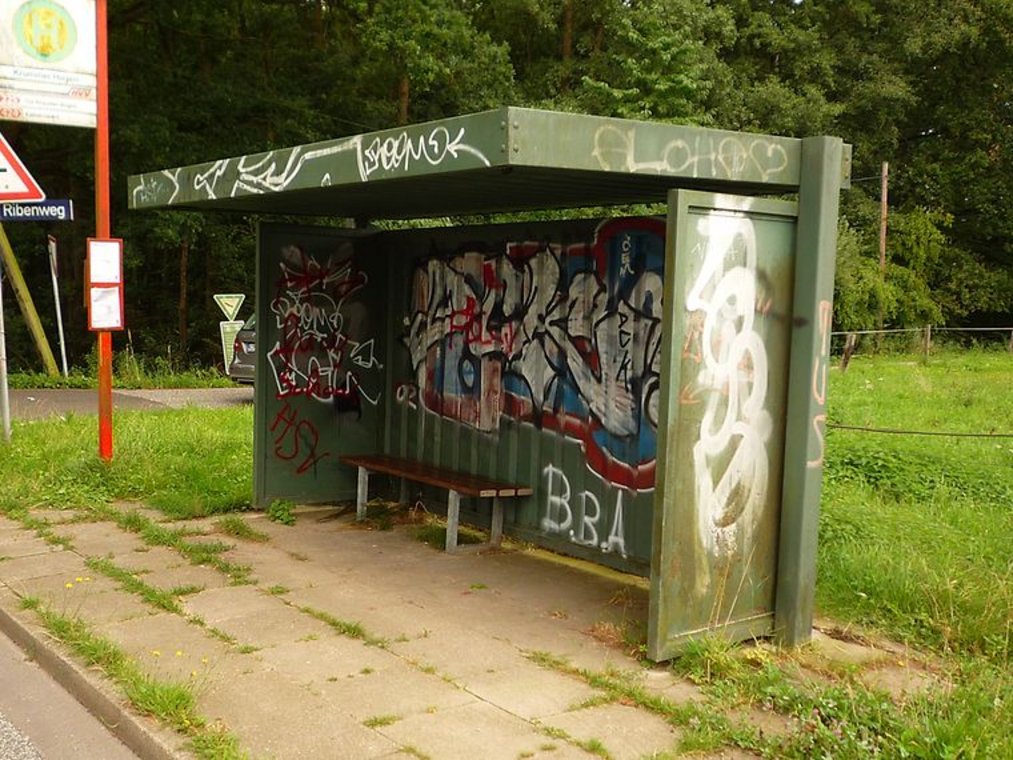 Mit Graffiti besprühtes Bushaltestellen-Häuschen an einer Straße am Waldrand