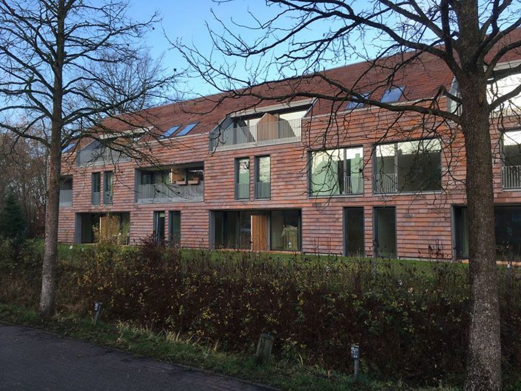 Modernes Wohnhaus mit Holzfassade hinter kahlen Bäumen